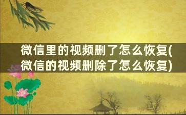 微信里的视频删了怎么恢复(微信的视频删除了怎么恢复)