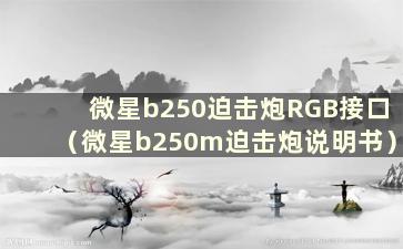 微星b250迫击炮RGB接口（微星b250m迫击炮说明书）