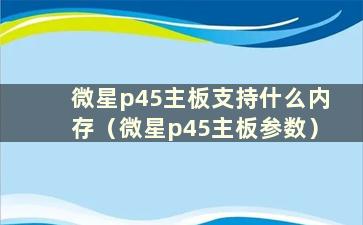 微星p45主板支持什么内存（微星p45主板参数）