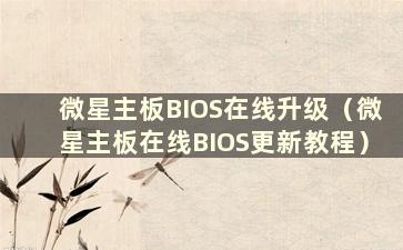 微星主板BIOS在线升级（微星主板在线BIOS更新教程）