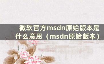 微软官方msdn原始版本是什么意思（msdn原始版本）