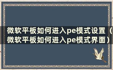 微软平板如何进入pe模式设置（微软平板如何进入pe模式界面）