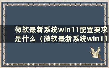 微软最新系统win11配置要求是什么（微软最新系统win11配置要求）