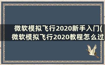 微软模拟飞行2020新手入门(微软模拟飞行2020教程怎么过)