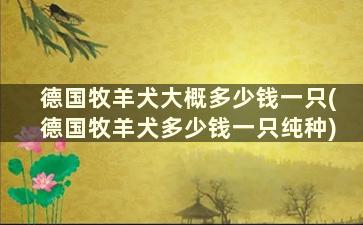 德国牧羊犬大概多少钱一只(德国牧羊犬多少钱一只纯种)