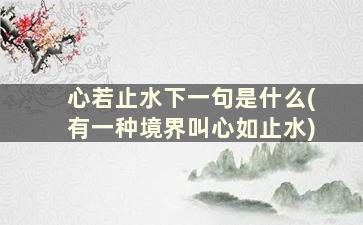 心若止水下一句是什么(有一种境界叫心如止水)