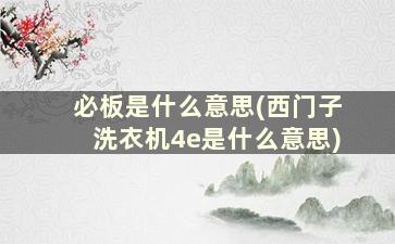 必板是什么意思(西门子洗衣机4e是什么意思)