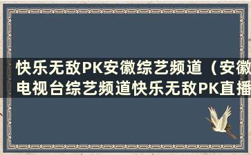 快乐无敌PK安徽综艺频道（安徽电视台综艺频道快乐无敌PK直播）