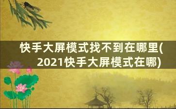 快手大屏模式找不到在哪里(2021快手大屏模式在哪)