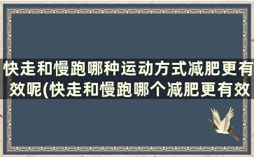 快走和慢跑哪种运动方式减肥更有效呢(快走和慢跑哪个减肥更有效)