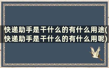 快递助手是干什么的有什么用途(快递助手是干什么的有什么用呢)