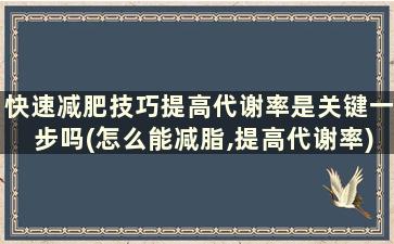 快速减肥技巧提高代谢率是关键一步吗(怎么能减脂,提高代谢率)