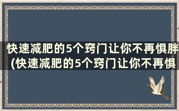 快速减肥的5个窍门让你不再惧胖(快速减肥的5个窍门让你不再惧胖)