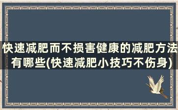 快速减肥而不损害健康的减肥方法有哪些(快速减肥小技巧不伤身)