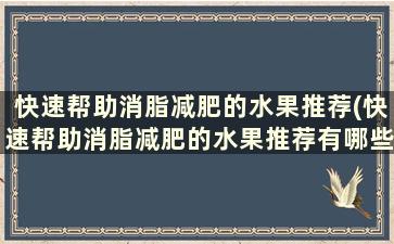 快速帮助消脂减肥的水果推荐(快速帮助消脂减肥的水果推荐有哪些)