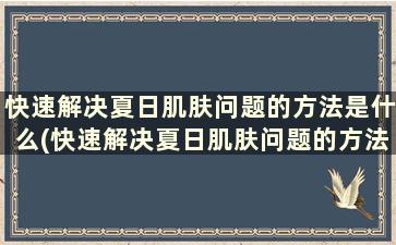 快速解决夏日肌肤问题的方法是什么(快速解决夏日肌肤问题的方法是)