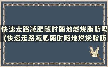 快速走路减肥随时随地燃烧脂肪吗(快速走路减肥随时随地燃烧脂肪会瘦吗)