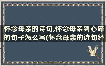 怀念母亲的诗句,怀念母亲到心碎的句子怎么写(怀念母亲的诗句经典)