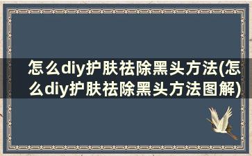 怎么diy护肤祛除黑头方法(怎么diy护肤祛除黑头方法图解)