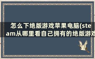 怎么下绝版游戏苹果电脑(steam从哪里看自己拥有的绝版游戏数)