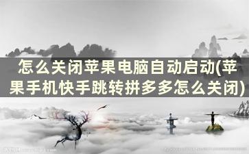 怎么关闭苹果电脑自动启动(苹果手机快手跳转拼多多怎么关闭)