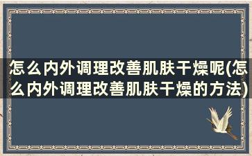 怎么内外调理改善肌肤干燥呢(怎么内外调理改善肌肤干燥的方法)