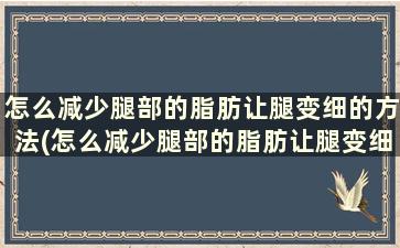 怎么减少腿部的脂肪让腿变细的方法(怎么减少腿部的脂肪让腿变细的方法有哪些)