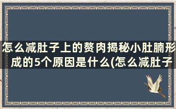 怎么减肚子上的赘肉揭秘小肚腩形成的5个原因是什么(怎么减肚子上的赘肉揭秘小肚腩形成的5个原因是什么)