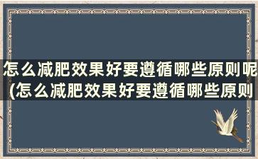 怎么减肥效果好要遵循哪些原则呢(怎么减肥效果好要遵循哪些原则呢)