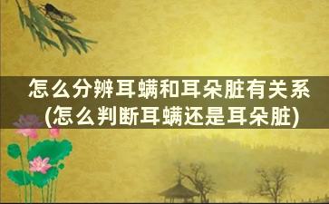 怎么分辨耳螨和耳朵脏有关系(怎么判断耳螨还是耳朵脏)