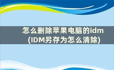 怎么删除苹果电脑的idm(IDM另存为怎么清除)