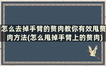 怎么去掉手臂的赘肉教你有效甩赘肉方法(怎么甩掉手臂上的赘肉)