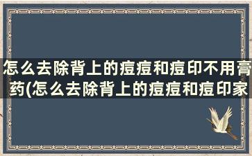 怎么去除背上的痘痘和痘印不用膏药(怎么去除背上的痘痘和痘印家用方法)