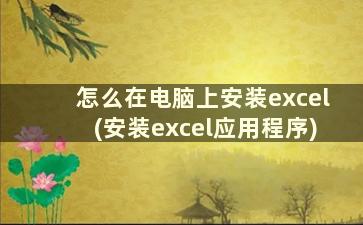 怎么在电脑上安装excel(安装excel应用程序)