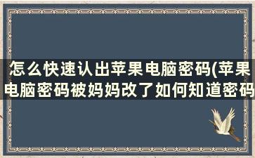 怎么快速认出苹果电脑密码(苹果电脑密码被妈妈改了如何知道密码)