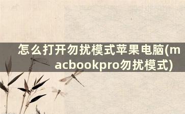 怎么打开勿扰模式苹果电脑(macbookpro勿扰模式)