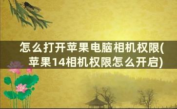 怎么打开苹果电脑相机权限(苹果14相机权限怎么开启)