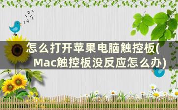 怎么打开苹果电脑触控板(Mac触控板没反应怎么办)