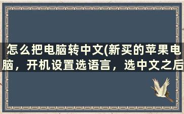 怎么把电脑转中文(新买的苹果电脑，开机设置选语言，选中文之后不会动，进不了桌面)