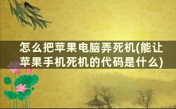 怎么把苹果电脑弄死机(能让苹果手机死机的代码是什么)