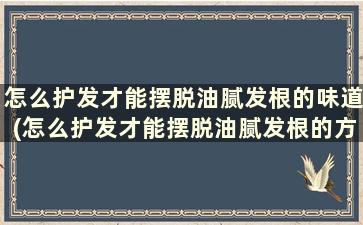 怎么护发才能摆脱油腻发根的味道(怎么护发才能摆脱油腻发根的方法)