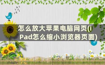 怎么放大苹果电脑网页(iPad怎么缩小浏览器页面)