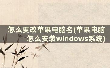 怎么更改苹果电脑名(苹果电脑怎么安装windows系统)