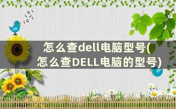 怎么查dell电脑型号(怎么查DELL电脑的型号)