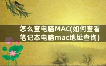 怎么查电脑MAC(如何查看笔记本电脑mac地址查询)