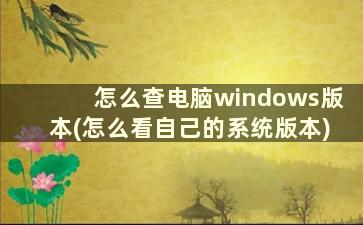 怎么查电脑windows版本(怎么看自己的系统版本)