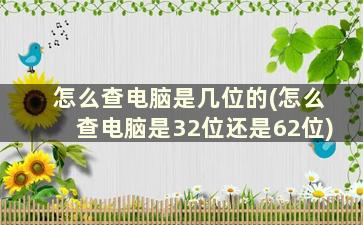 怎么查电脑是几位的(怎么查电脑是32位还是62位)