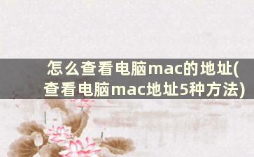 怎么查看电脑mac的地址(查看电脑mac地址5种方法)