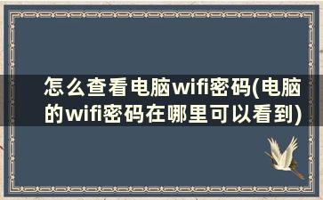 怎么查看电脑wifi密码(电脑的wifi密码在哪里可以看到)