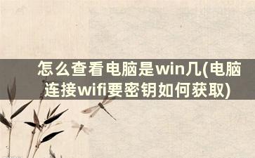 怎么查看电脑是win几(电脑连接wifi要密钥如何获取)